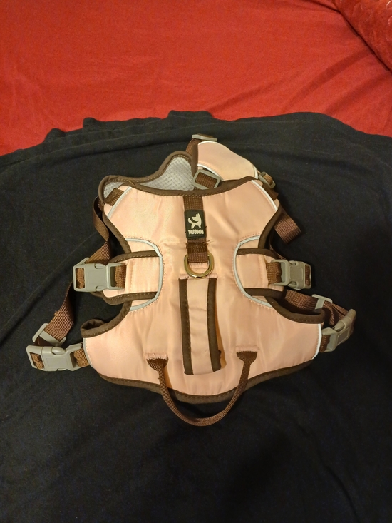Other - PupVox Pink Dog Harness with Brown Trim